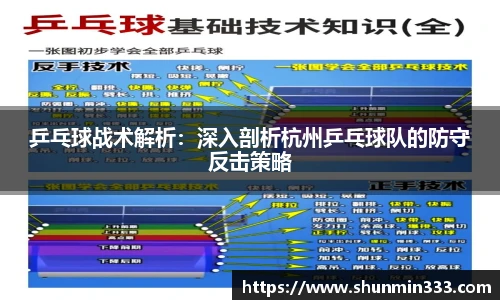 乒乓球战术解析：深入剖析杭州乒乓球队的防守反击策略